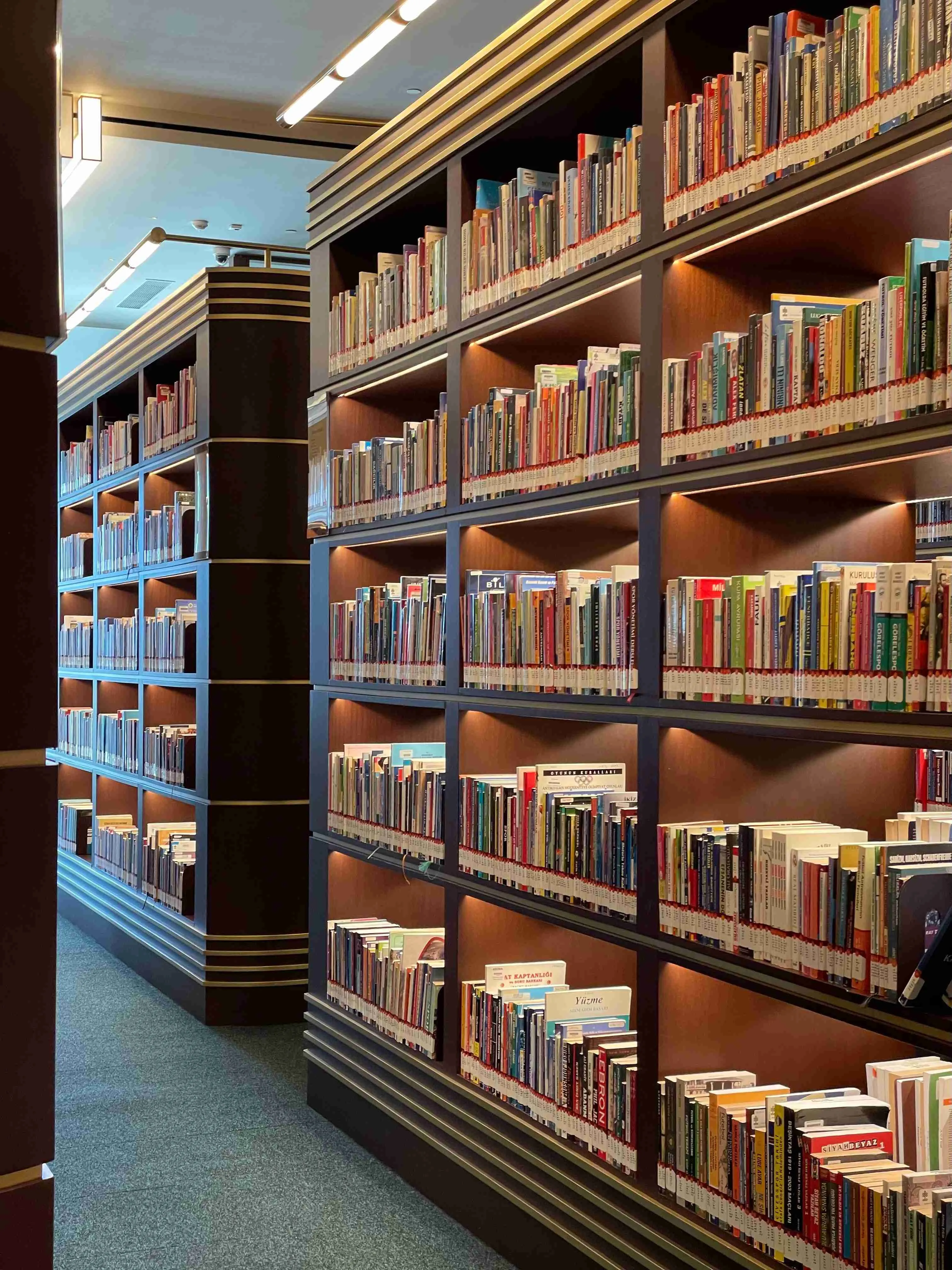 Shelves of books in the school library